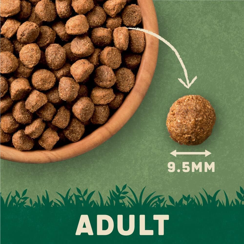 Harringtons Complete Dry Adult Dog Food Lamb , 15 kg