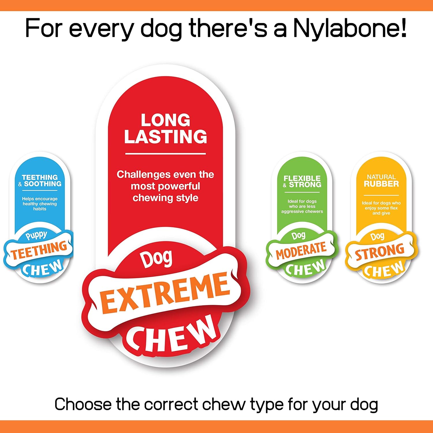Tough Dog Chew Toy Bones, Peanut Butter, chicken , bacon flavoured